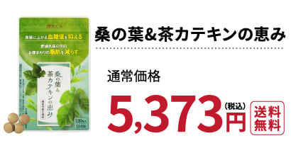 公式】桑の葉&茶カテキンの恵み│血糖値を抑えるサプリメント