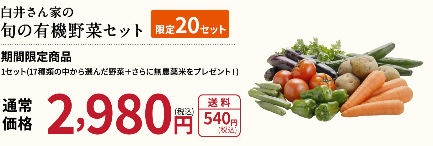 白井さん家の旬の有機野菜セット 通常価格2,980円（税抜）