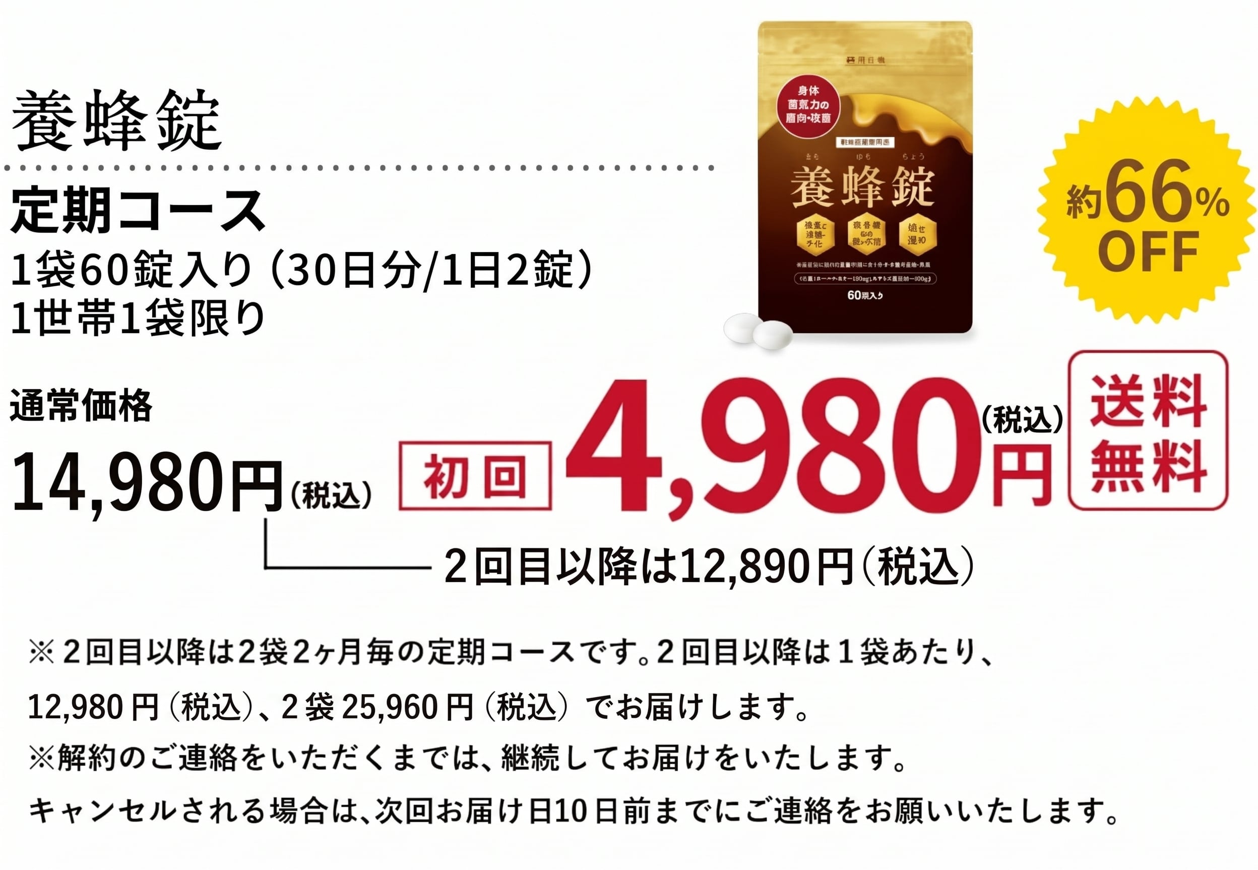 初回定期コース