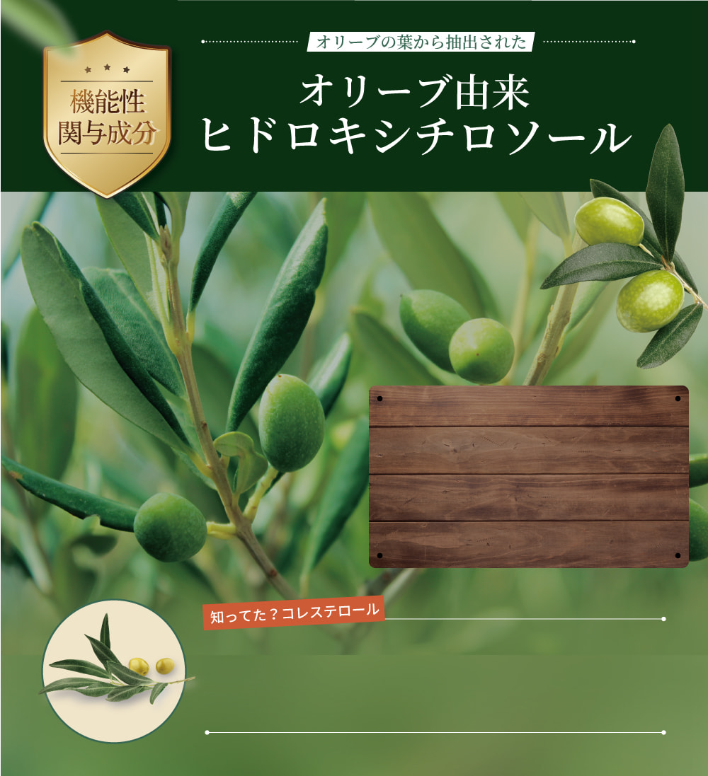 オリーブ由来ヒドロキシチロソール