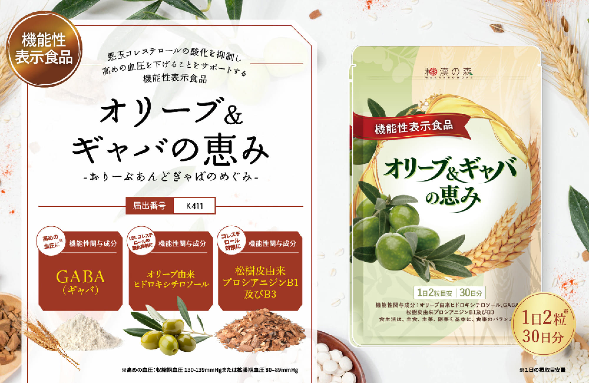 乳酸菌＆イチョウ葉の恵み