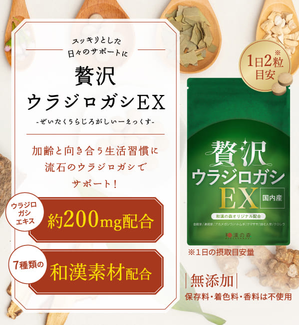 定期】 ウラジロガシ サプリ サプリメント 贅沢ウラジロガシEX 流石 60 粒 裏白樫 ウラジロガシ茶 うらじ